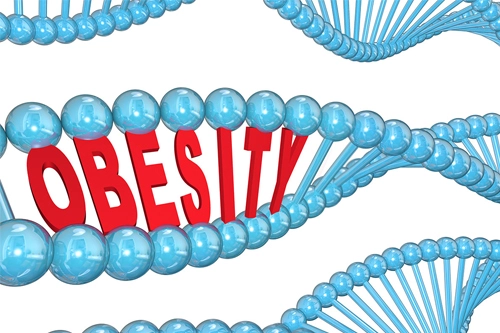 Genetics in Obesity and the Effectiveness of Bariatric Surgery